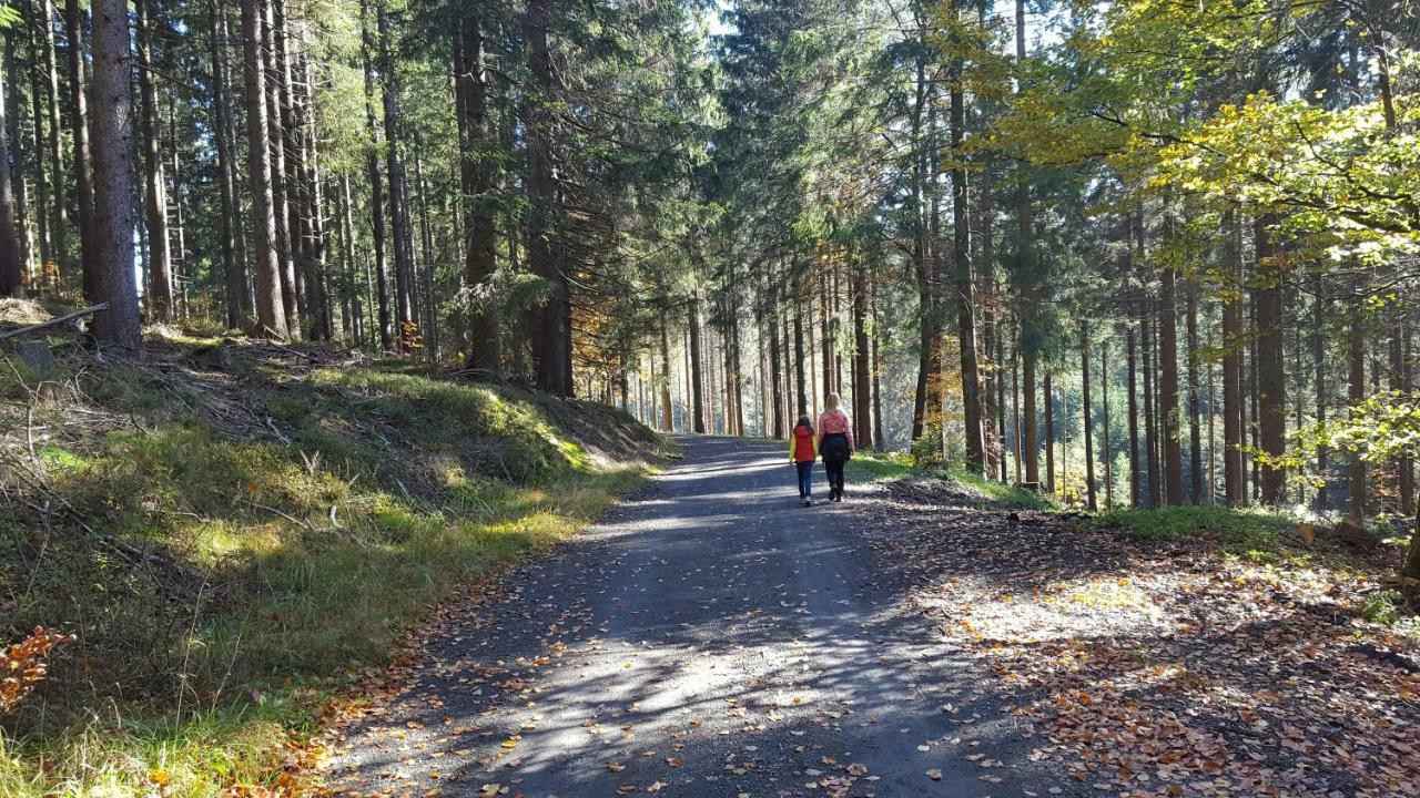 Ferienhaus Bergidylle Winterberg Exterior foto