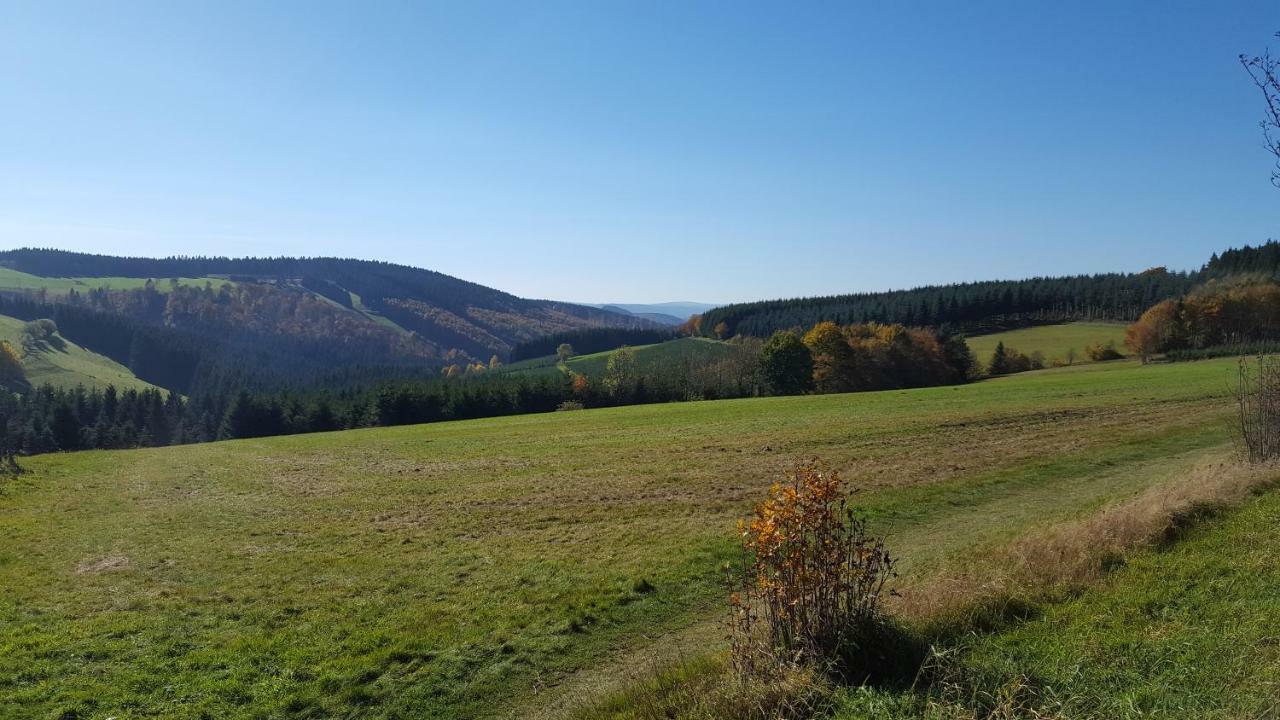 Ferienhaus Bergidylle Winterberg Exterior foto