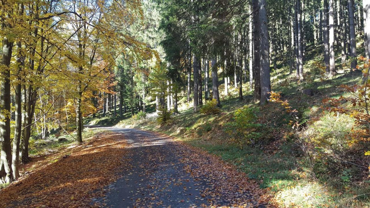 Ferienhaus Bergidylle Winterberg Exterior foto