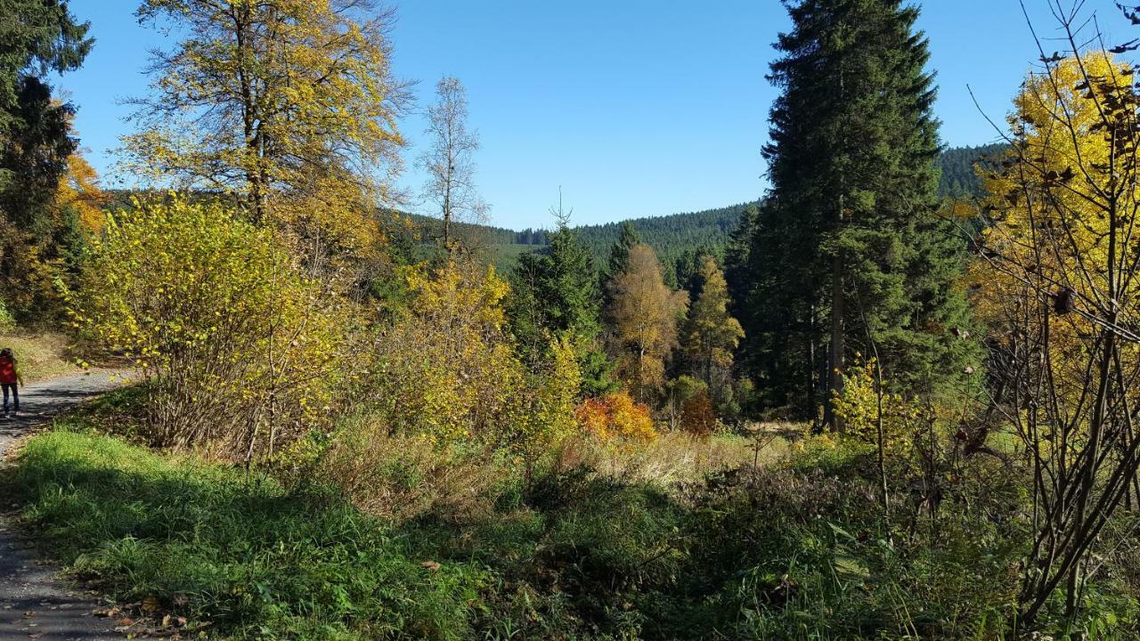 Ferienhaus Bergidylle Winterberg Exterior foto